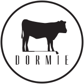 Dormie Workshop